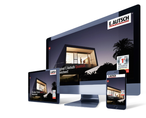 Webdesign-Agentur, Website-Design