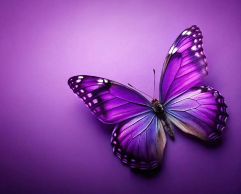 Botschaften digital versenden. Weihnachtskarten. Osterwünsche. Einladungen.